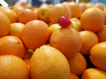 橙子 甜橙 香橙 水果 超市