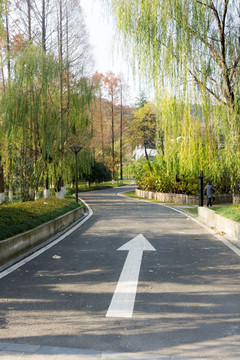 公路