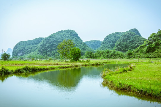 田园春色