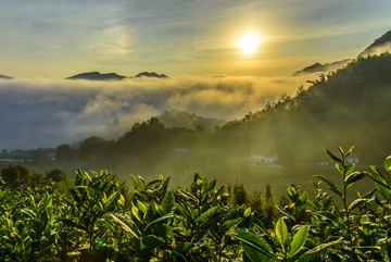 日出高山