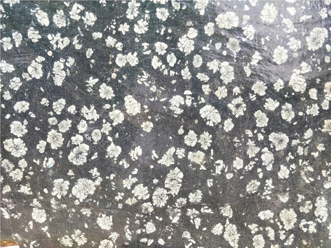 岩石花纹
