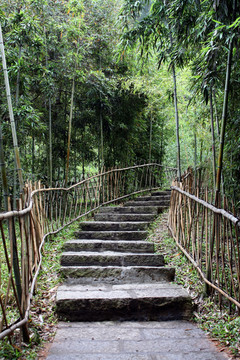 东莞水濂山