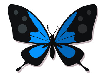 斑点矢量蝴蝶标本描模