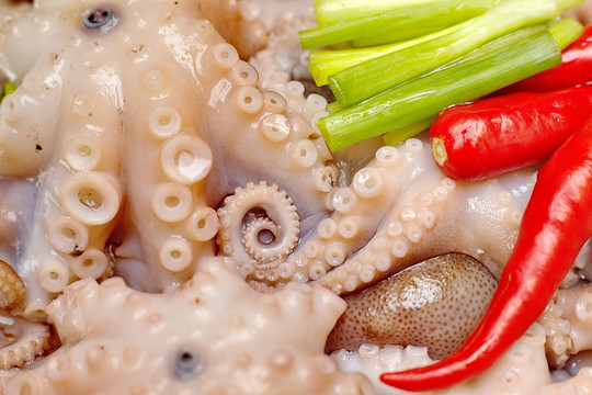 海鲜大咖 海鲜大餐 海鲜拍摄