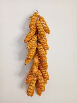 玉米棒子串