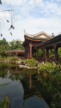 海珠湿地