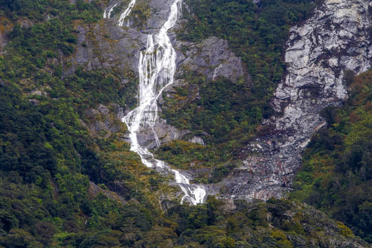 米尔福德峡湾