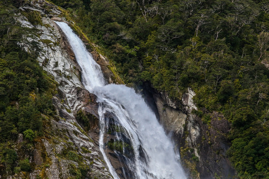 米尔福德峡湾