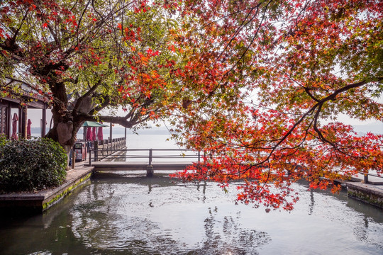 杭州西湖平湖秋月风景区
