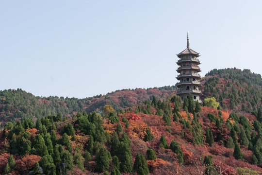 济南红叶谷