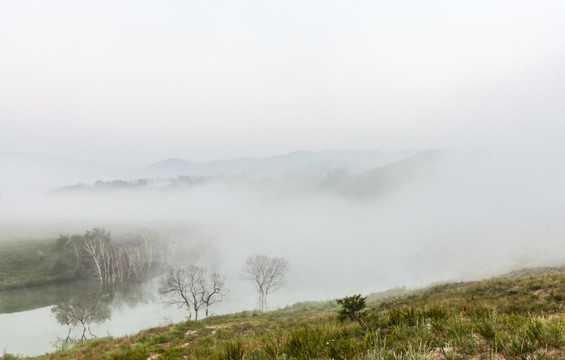 坝上草原的晨雾