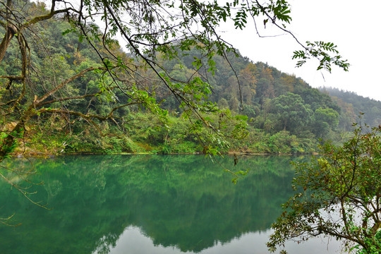 绿水青山