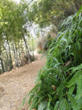 宁波上虞 凤鸣山风光