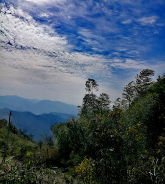 凤鸣山风光