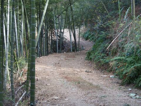 宁波上虞 凤鸣山风光