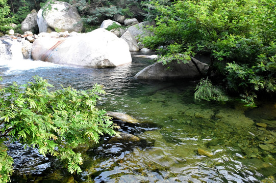 树木树林 山泉