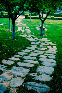 公园小路