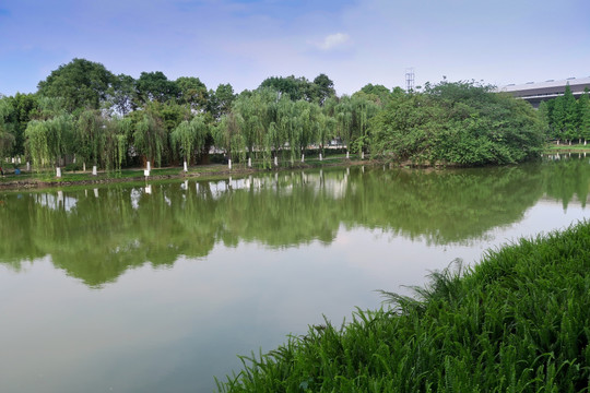 西南石油大学院内环境