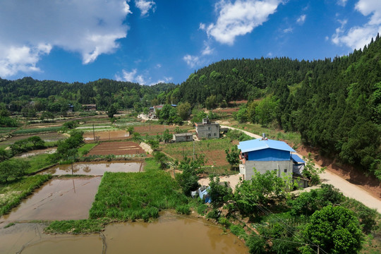 四川乡村风景 田园风光