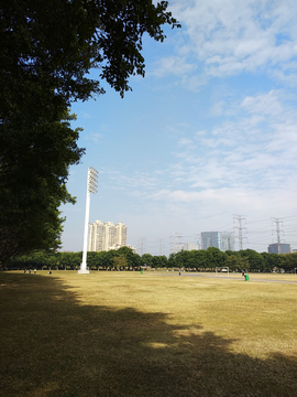 足球场草坪风景