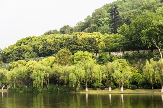 狮子山下护城河