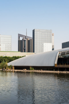 南京河西城市风光
