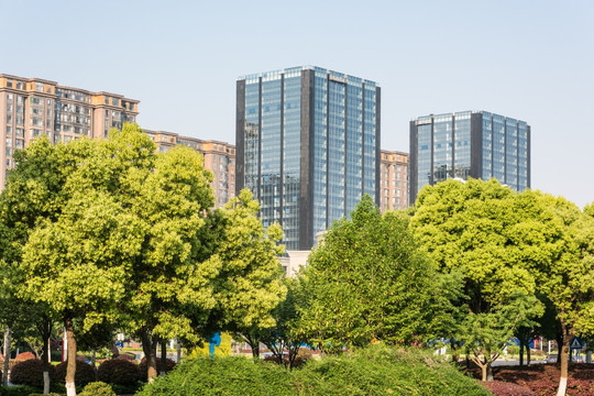 南京河西城市风光