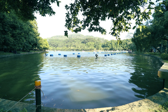 公园湖泊