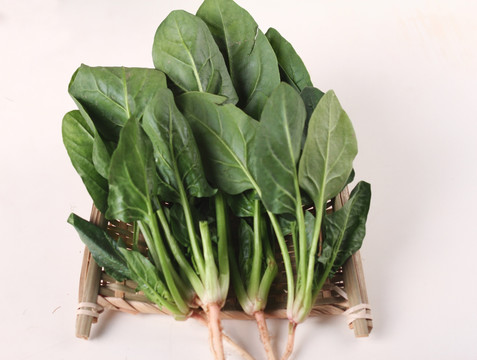 菠菜 蔬菜 绿色 健康 素食