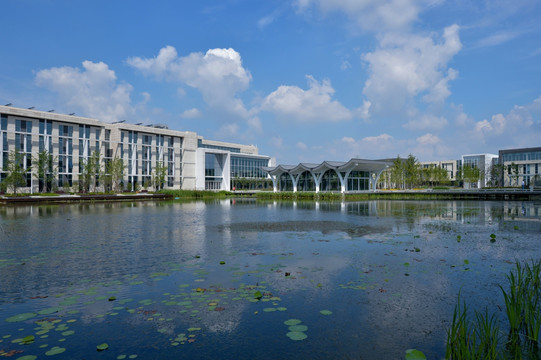 杜克大学校园景色