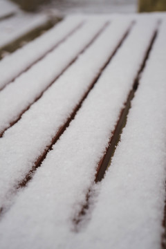 白雪