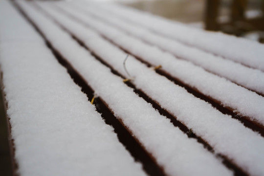 白雪
