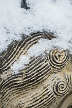 落雪神兽