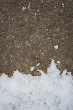 雪地