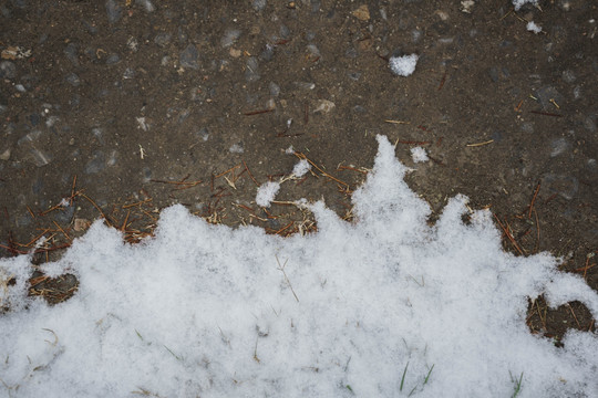 雪地