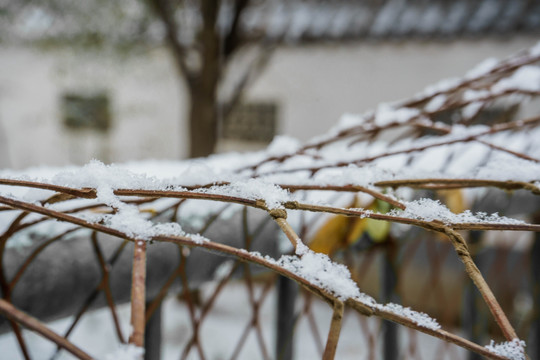 雪下栏杆