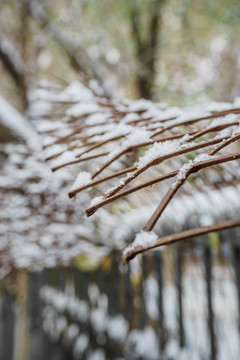 雪下栏杆