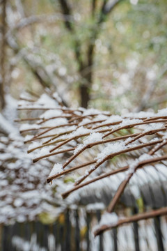 雪下栏杆