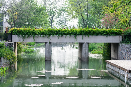 情侣园园林景观