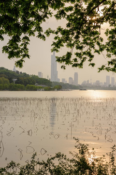 玄武湖湖景