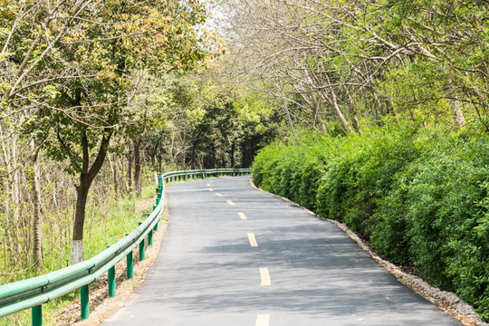 林间公路