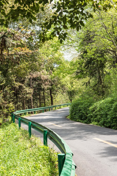 金牛山林间公路