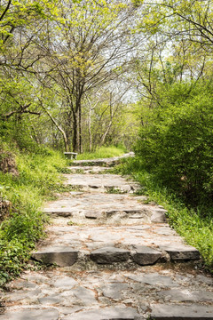 金牛山山道