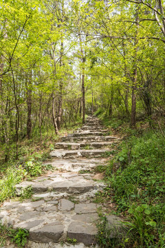 金牛山山道
