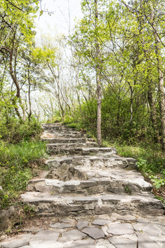 金牛山山道