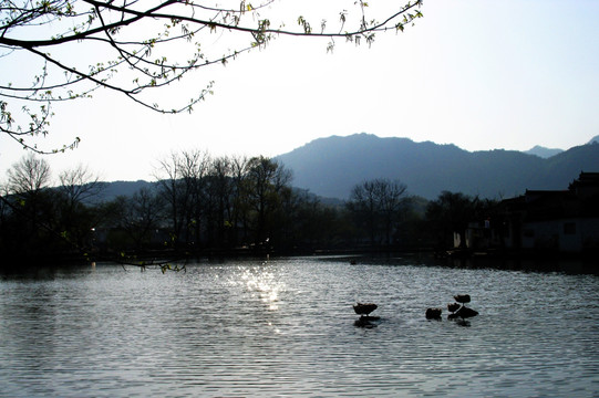 宏村 皖南 黄山