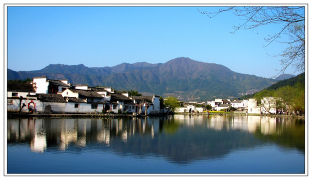 宏村 皖南 油菜花