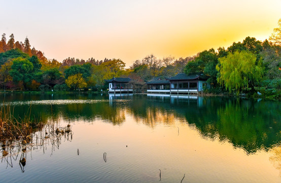 西湖美景