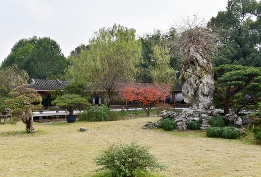 园林造景