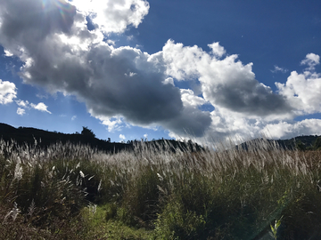 西双版纳山区的冬天